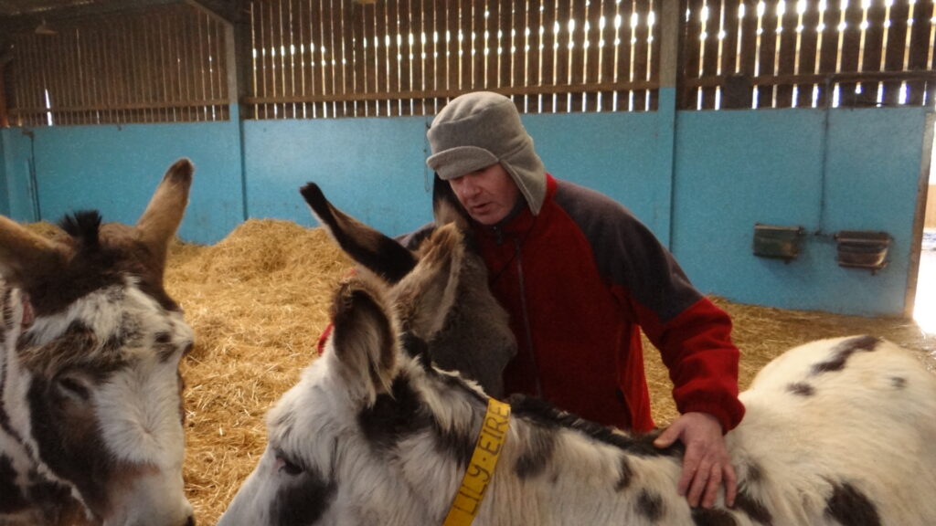 duncan at donkey sanctuary