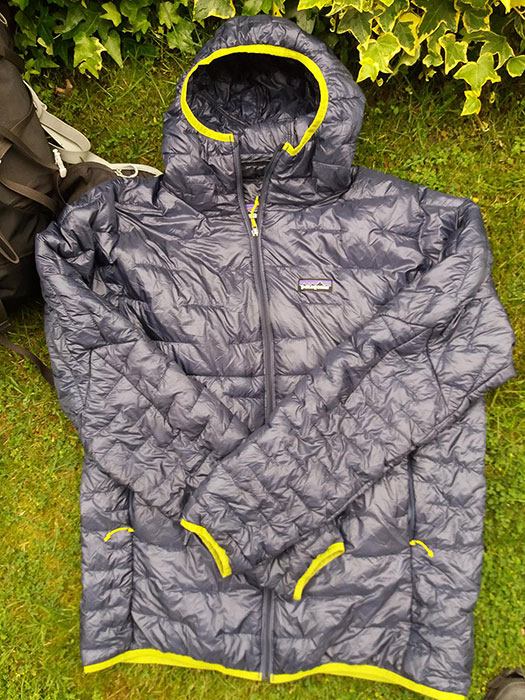 Patagonia Micro Puff Hoody